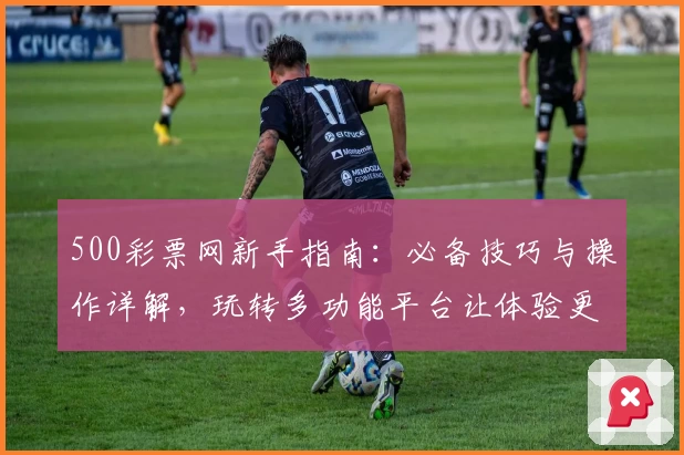 500彩票网新手指南：必备技巧与操作详解，玩转多功能平台让体验更便捷