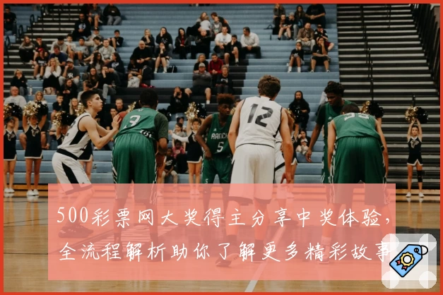 500彩票网大奖得主分享中奖体验，全流程解析助你了解更多精彩故事