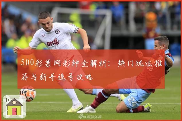 500彩票网彩种全解析:热门玩法推荐与新手选号攻略