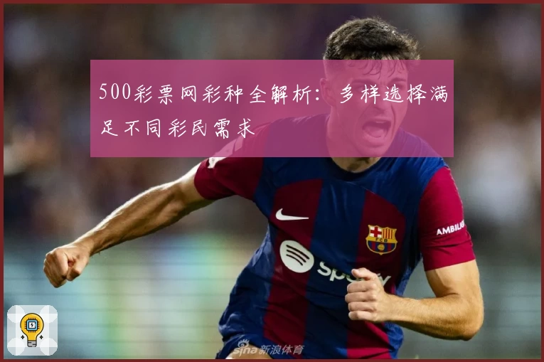 500彩票网彩种全解析：多样选择满足不同彩民需求