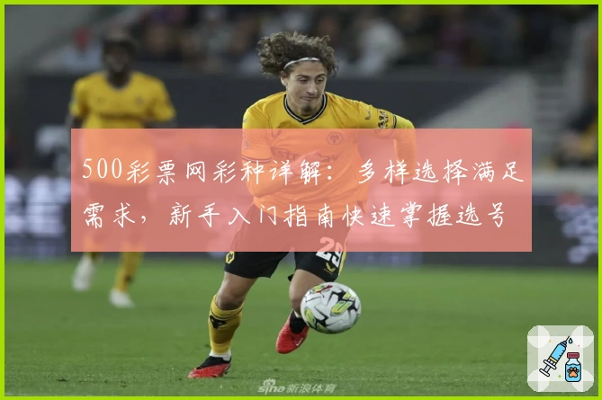 500彩票网彩种详解：多样选择满足需求，新手入门指南快速掌握选号技巧