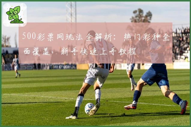 500彩票网玩法全解析：热门彩种全面覆盖，新手快速上手教程